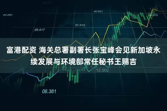 富港配资 海关总署副署长张宝峰会见新加坡永续发展与环境部常任秘书王赐吉
